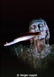 "Mystic" Statua del "Cristo degli Abissi" nel Mare di Por... by Sergio Loppel 